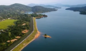 ho jpg 8077 1770515405