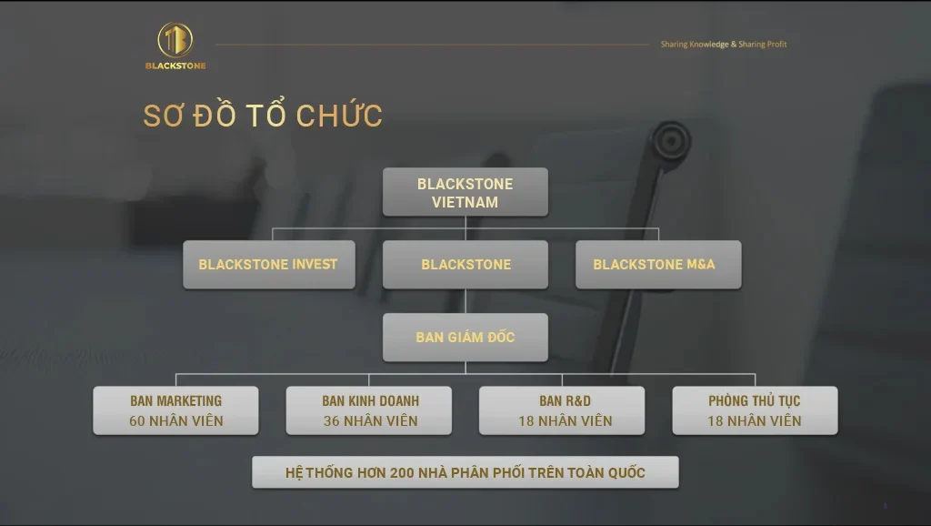 so do to chuc vn